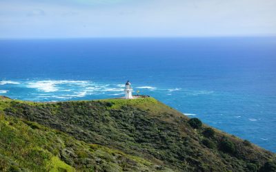 Nueva Zelanda y sus espectaculares entornos naturales