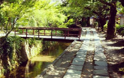 Camino de la Filosofía en Kyoto…mucha paz ! Japannnn!
