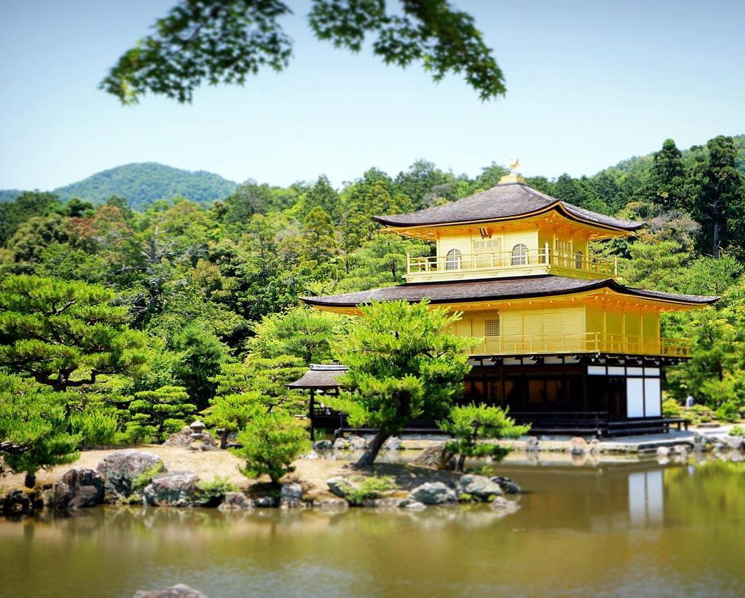El templo Kinkaku-ji ... el templo del pabellón de oro!!! .....