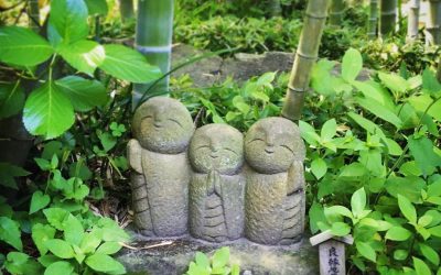 Los buditas del Templo Hasedera Japón