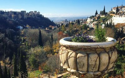 Vistas de Granada desde Sacromonte!