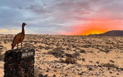 Parque Natural de Corralejo, Fuerteventura – Dunas de Corralejo