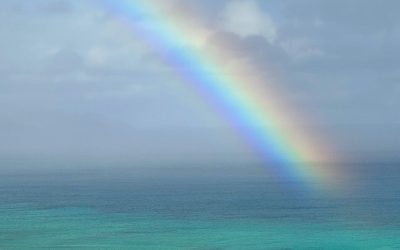 El paraíso hecho realidad. Fuerte sos magia – Costa Calma