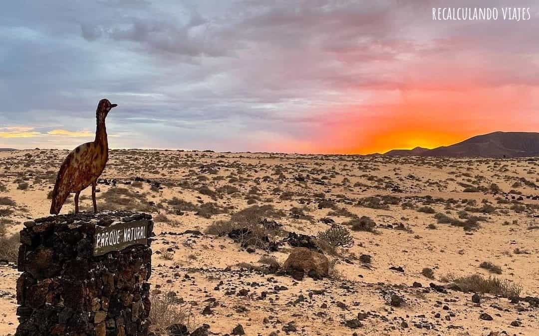 que ver en fuerteventura - dunas corralejo