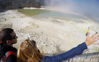 Qué ver en Wai o Tapu: Guía 2026 – Imperdibles del Área Termal Más Colorida | Nueva Zelanda