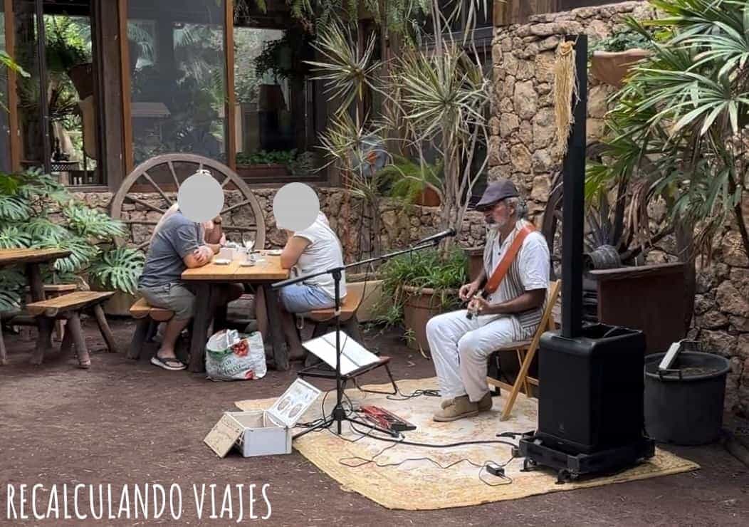 mercadillo oasis wildlife musica