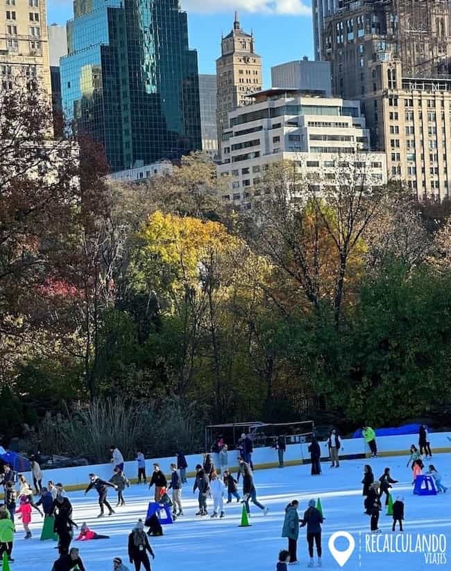 central park nueva york en navidad