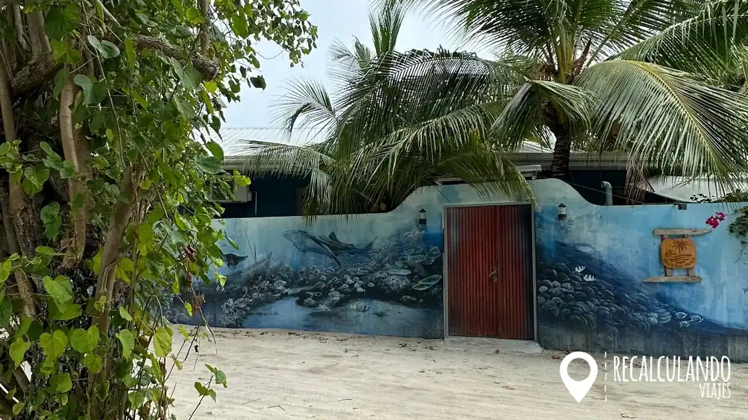 alojarse en omadhoo bird beak beach