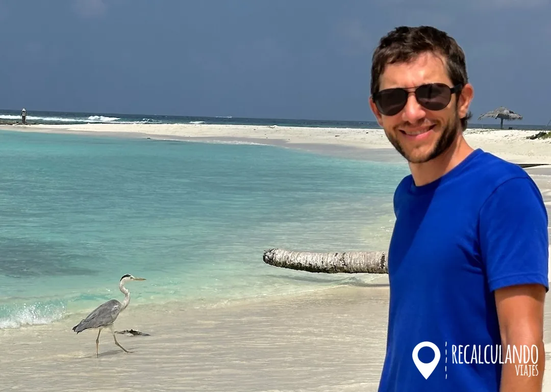 que ver en fulidhoo aves garza heron