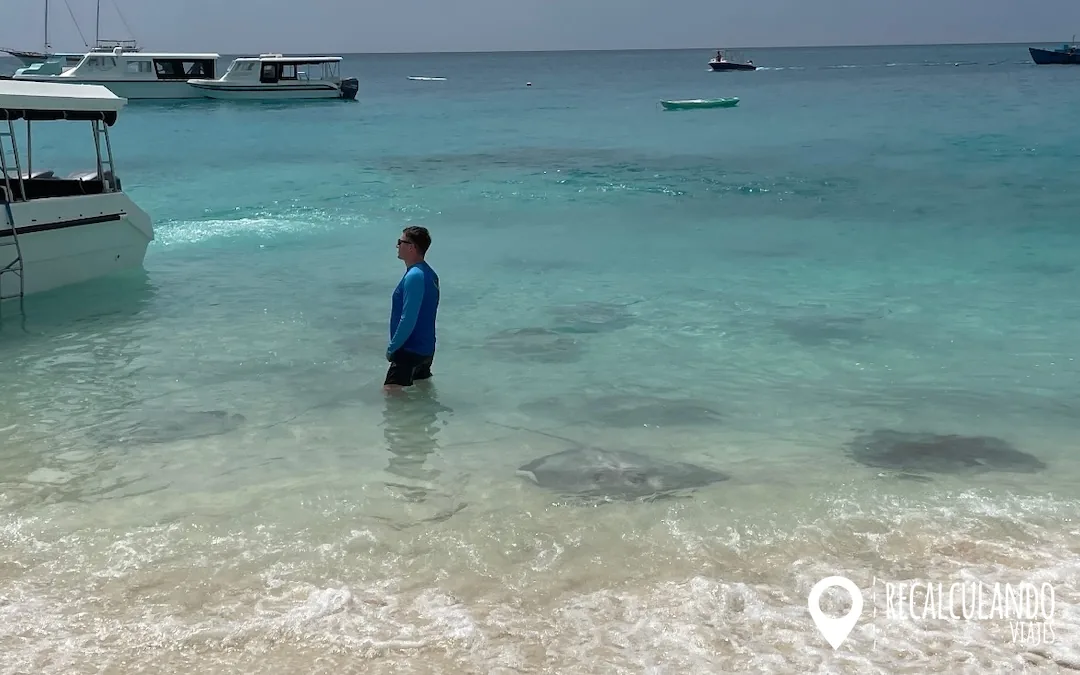 que ver en fulidhoo rayas gigantes