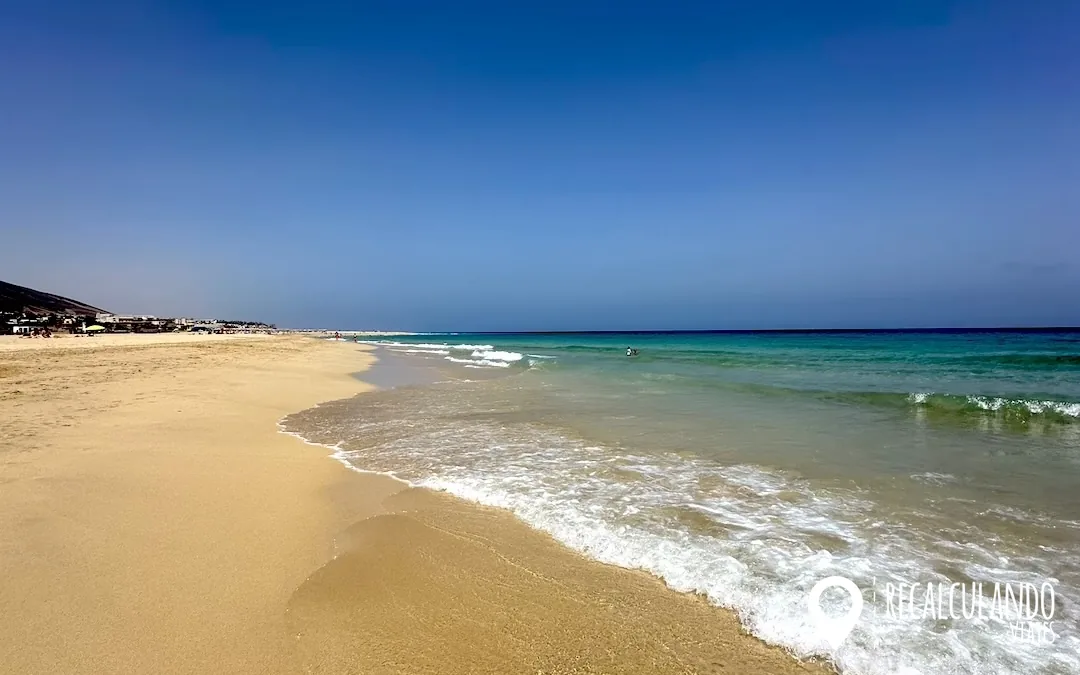 fuerteventura playas -el matorral morro jable