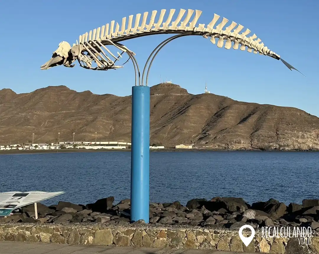 puerto de gran tarajal - fuerteventura