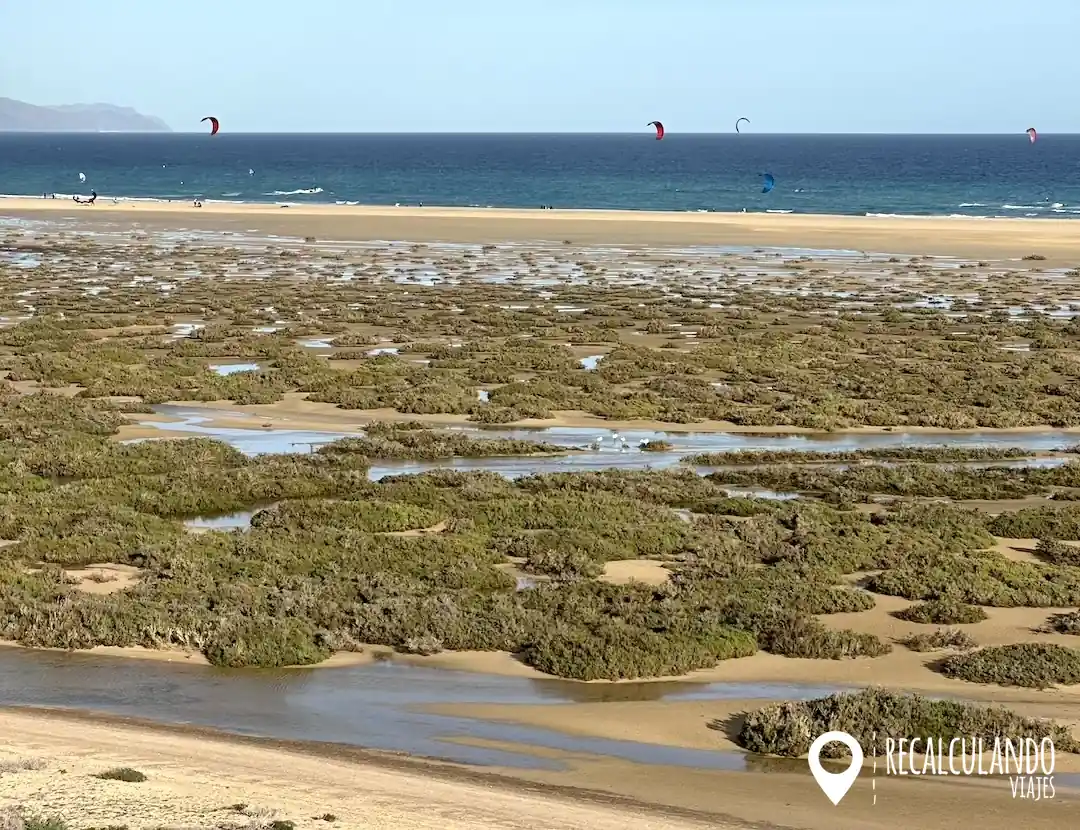 que ver en sotavento - laguna de sotavento