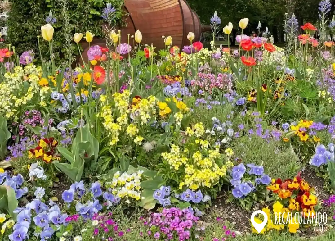 que hacer en annecy - jardines