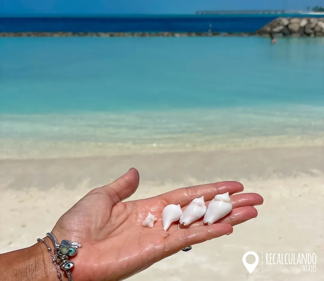 que ver en thulusdhoo - beach