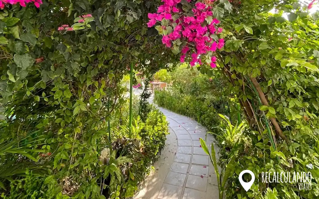 que ver en thulusdhoo - maldivas