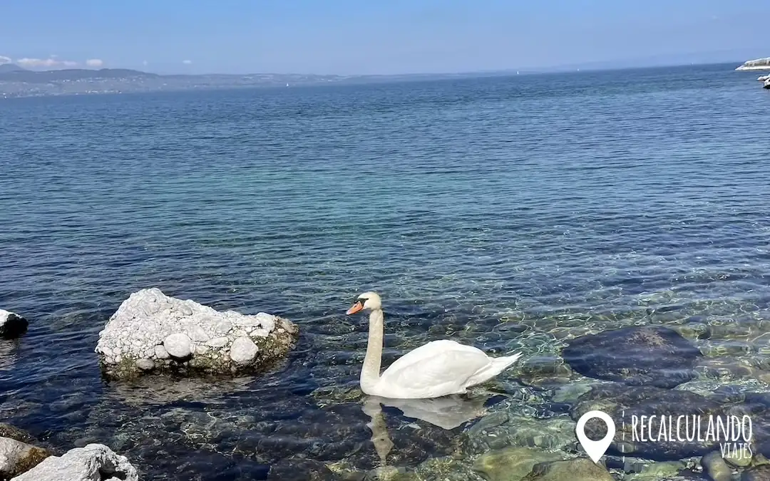 que ver en yvoire en un dia