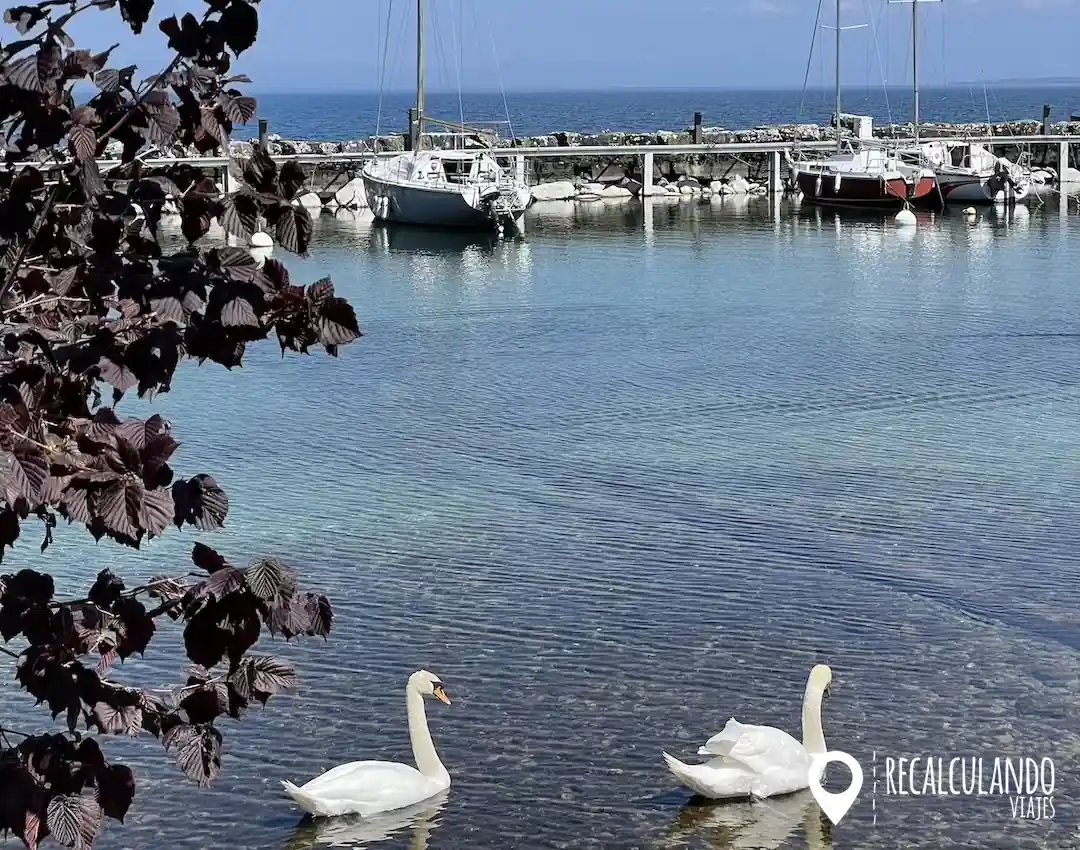 que ver en yvoire puerto de yvoire