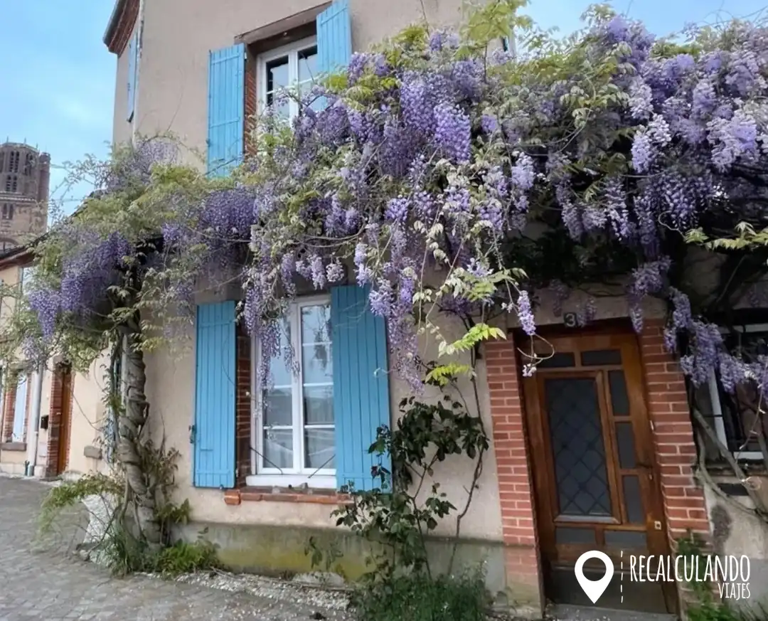 que ver albi francia