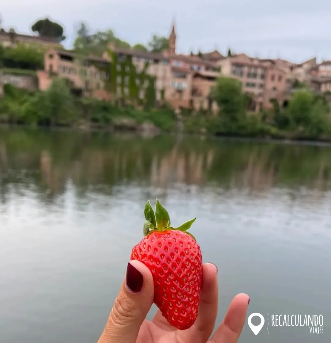 que ver en albi picnic