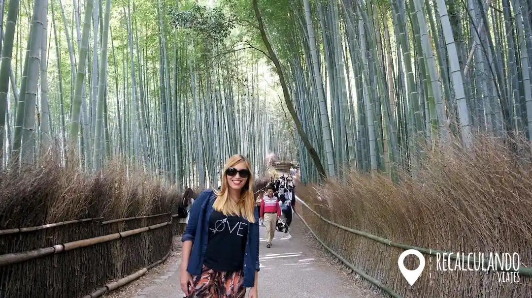 bosque de bambu kioto