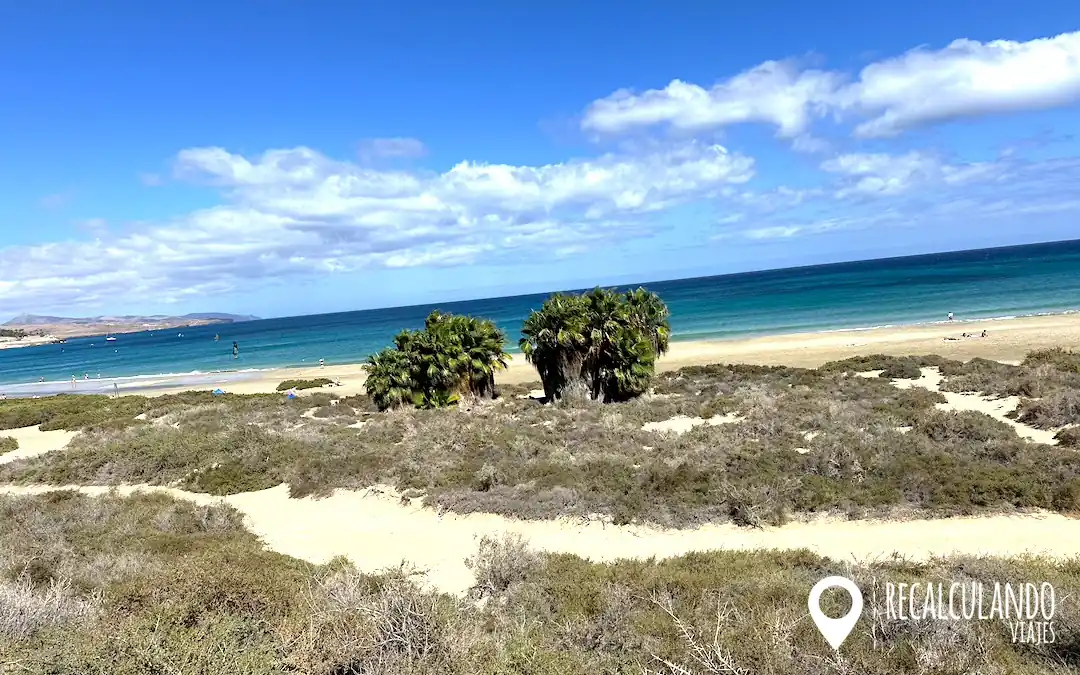 costa calma donde alojarse costa calma donde alojarse