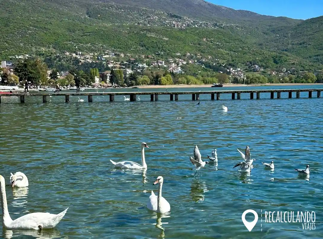 paseo por el lago ohrid