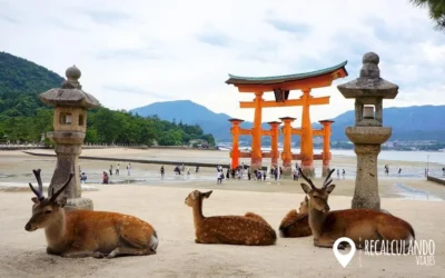 Qué ver en Miyajima: la guía definitiva de la isla más mágica de Japón (2026)
