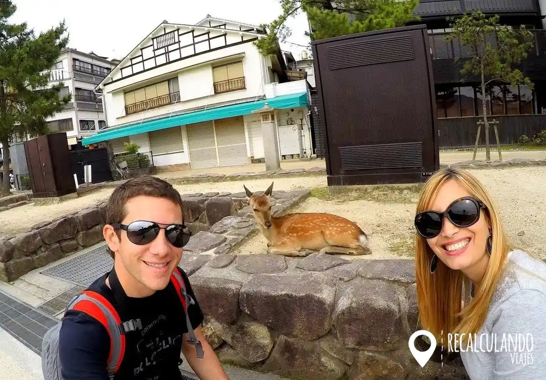 que ver en miyajima ciervos