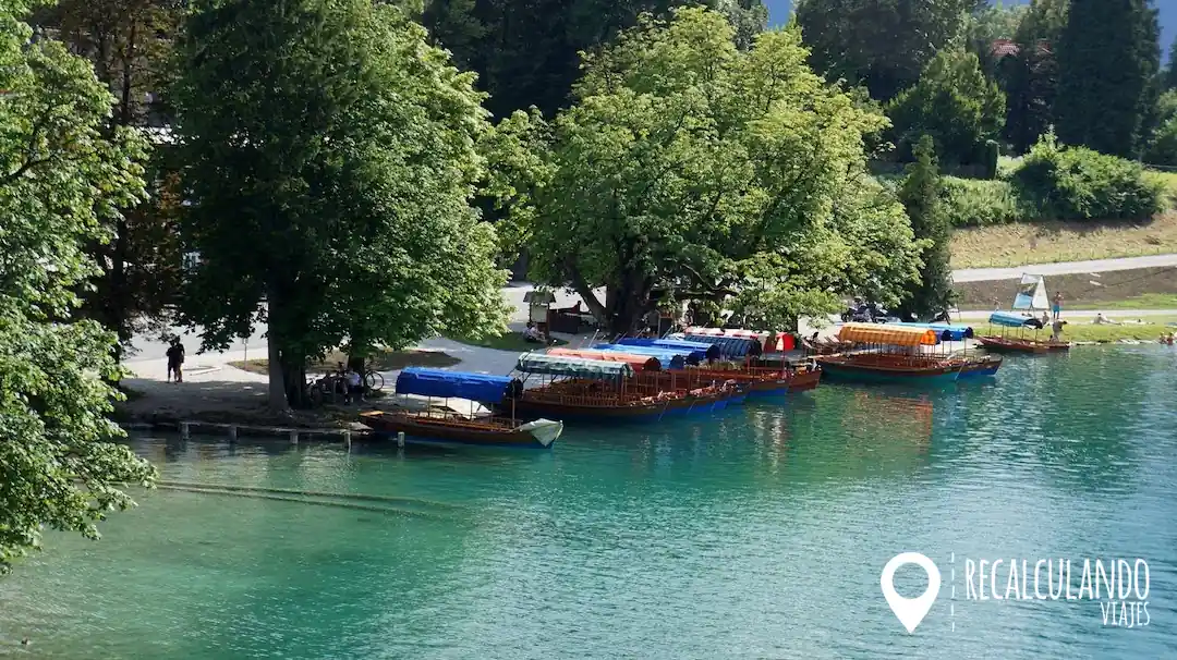 como llegar a bled
