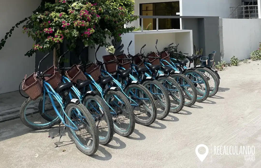 bici en thoddoo