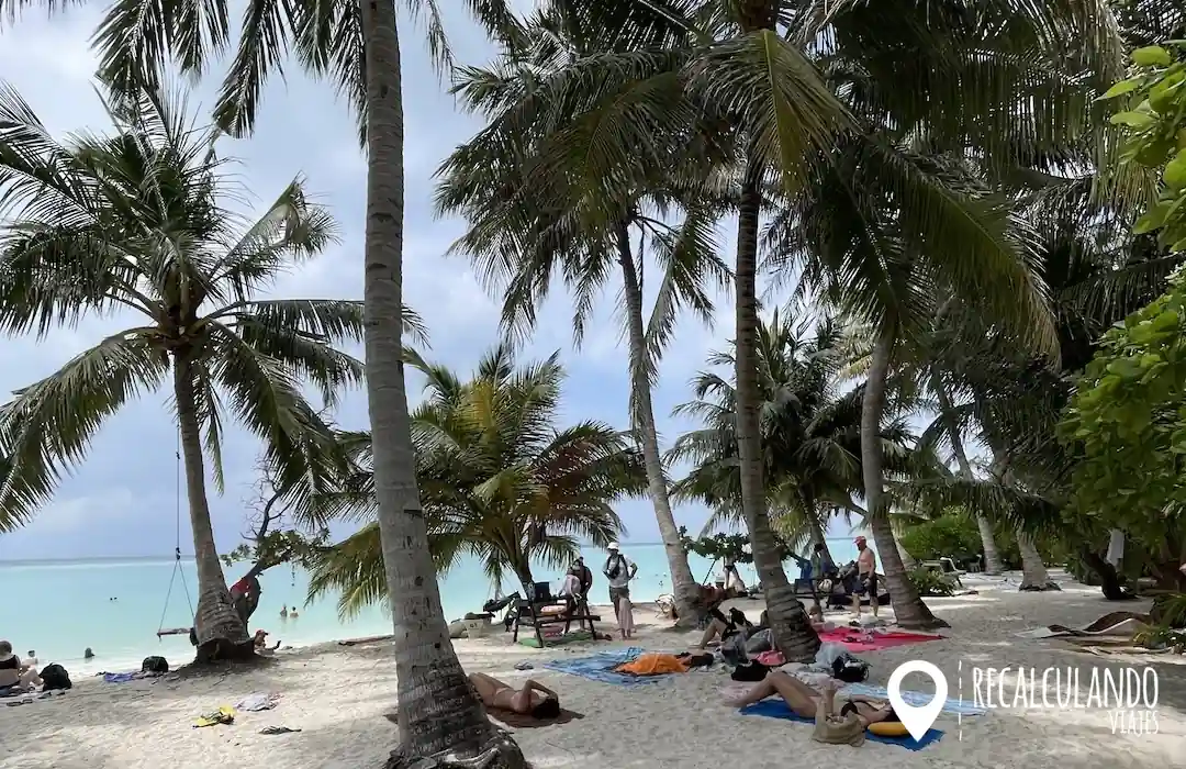 playa bikini thoddoo