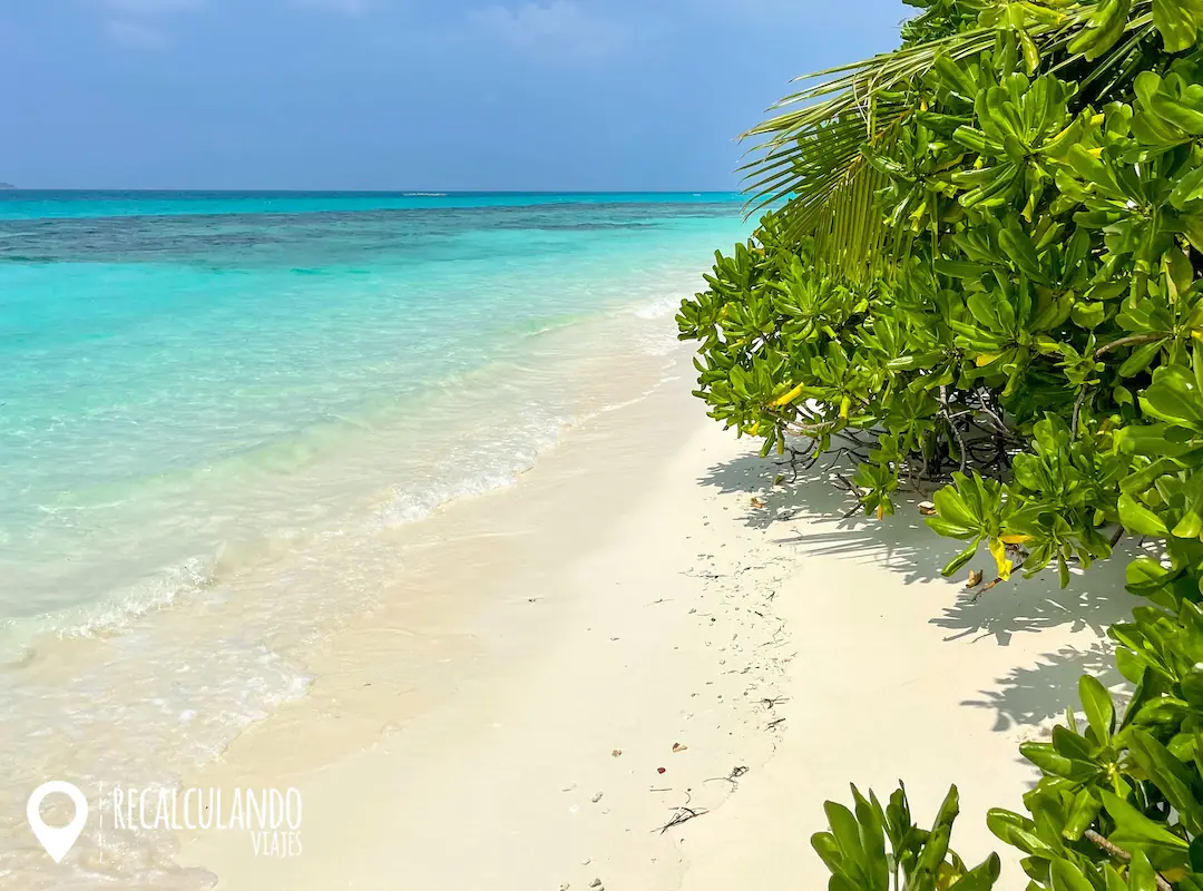 que ver en dhigurah arrecife