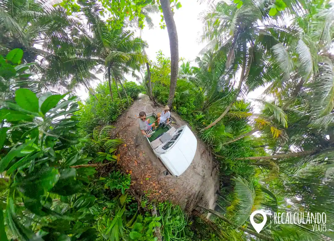 selva dhigurah