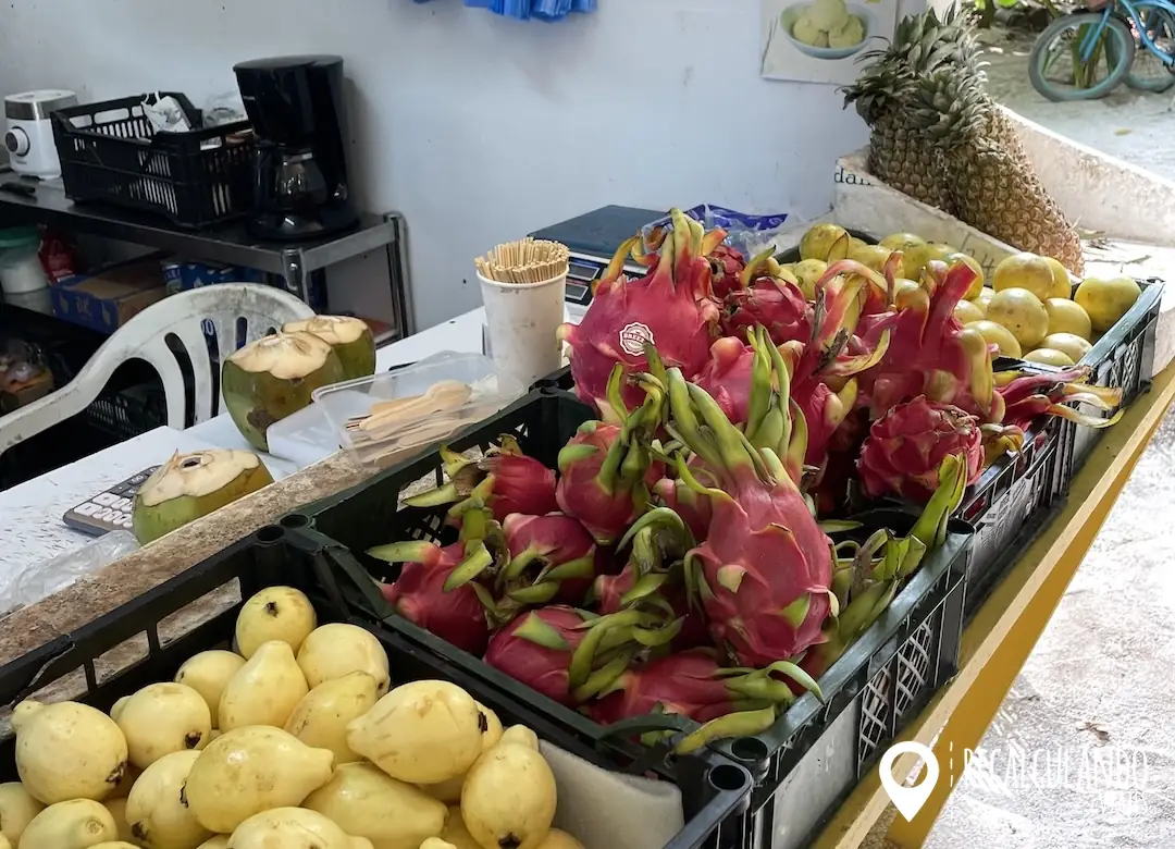 thoddoo frutas