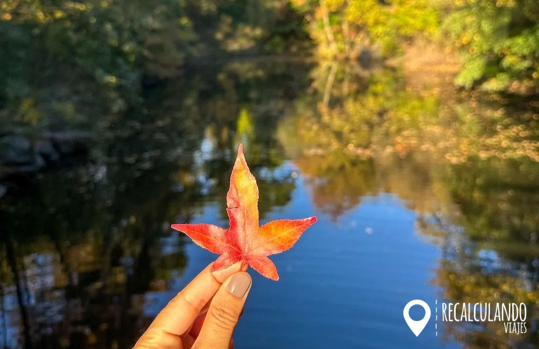 central park otoño