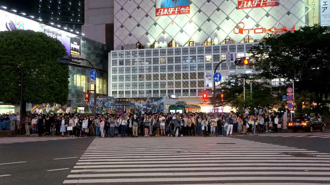 shibuya crossing at night