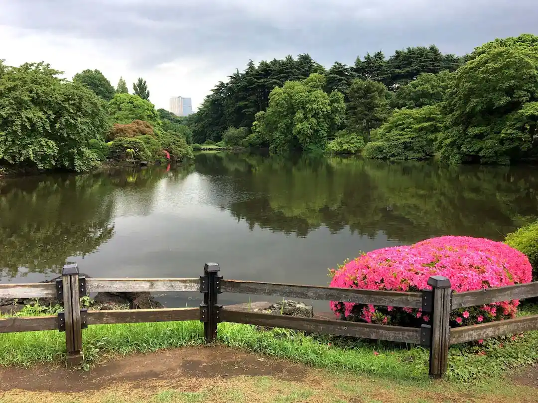 shinjuku gyoen national garden